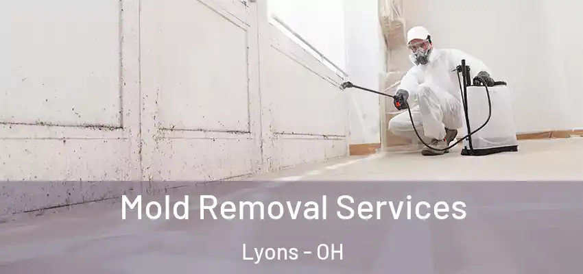  Mold Removal Services Lyons - OH