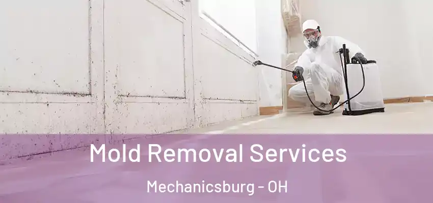  Mold Removal Services Mechanicsburg - OH