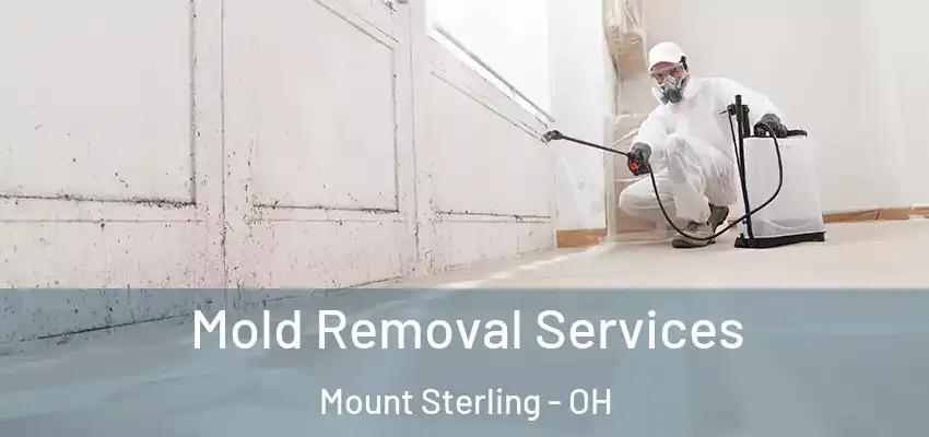  Mold Removal Services Mount Sterling - OH