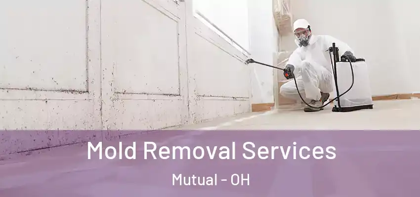  Mold Removal Services Mutual - OH
