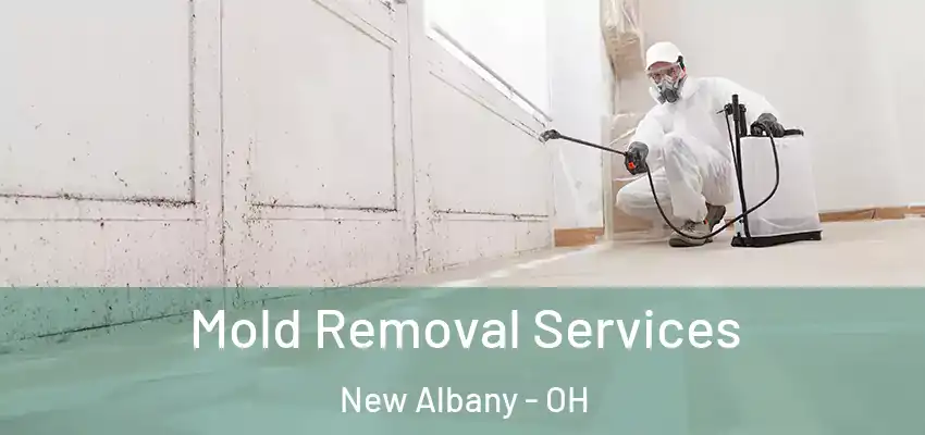  Mold Removal Services New Albany - OH
