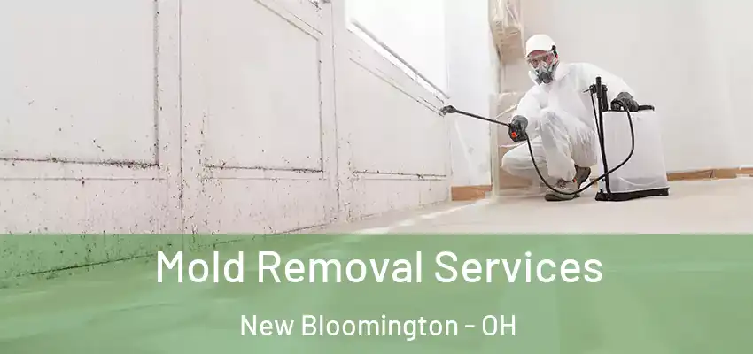  Mold Removal Services New Bloomington - OH