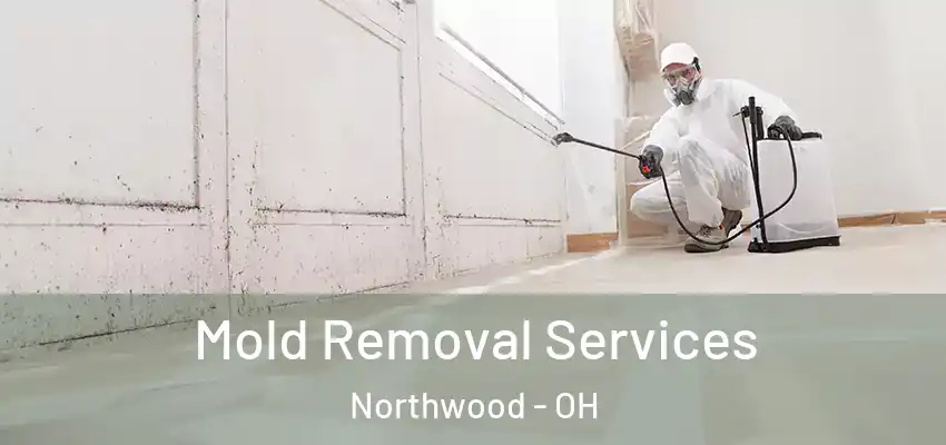  Mold Removal Services Northwood - OH
