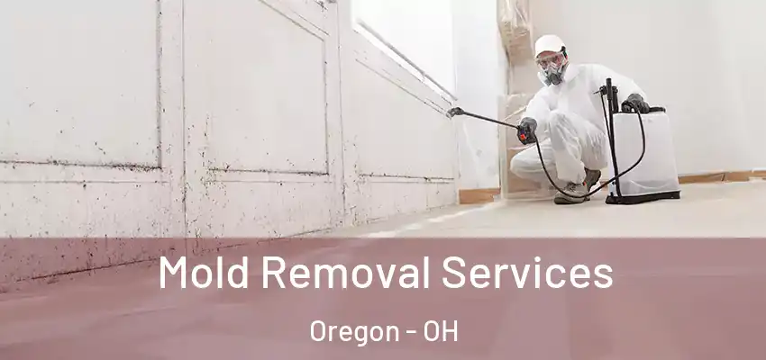  Mold Removal Services Oregon - OH