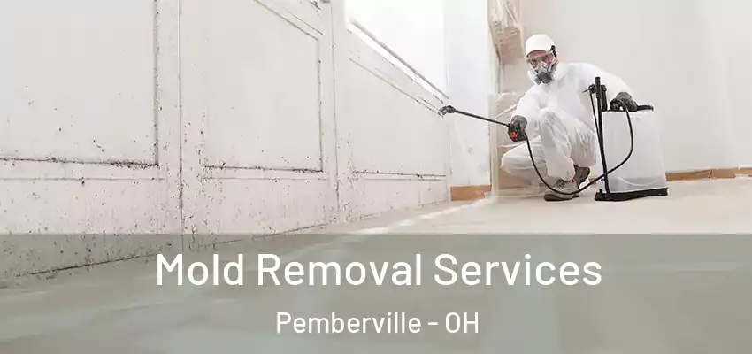  Mold Removal Services Pemberville - OH