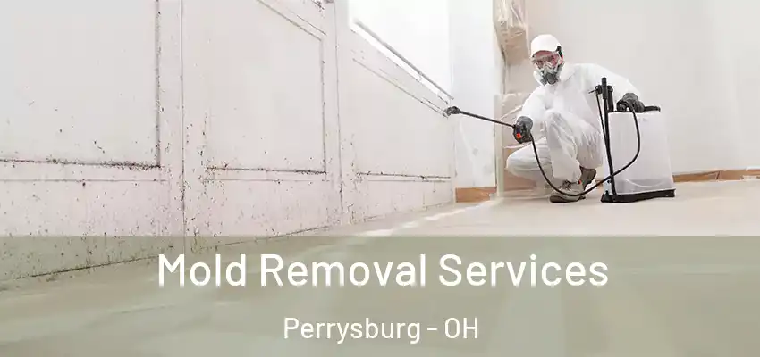  Mold Removal Services Perrysburg - OH