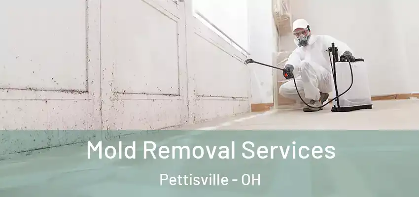  Mold Removal Services Pettisville - OH