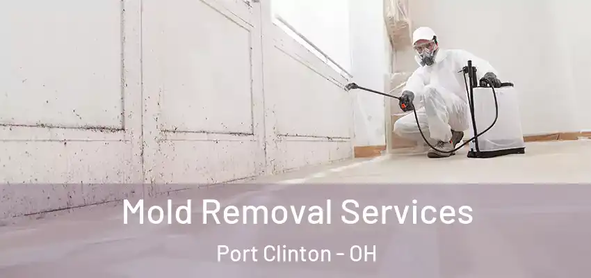  Mold Removal Services Port Clinton - OH