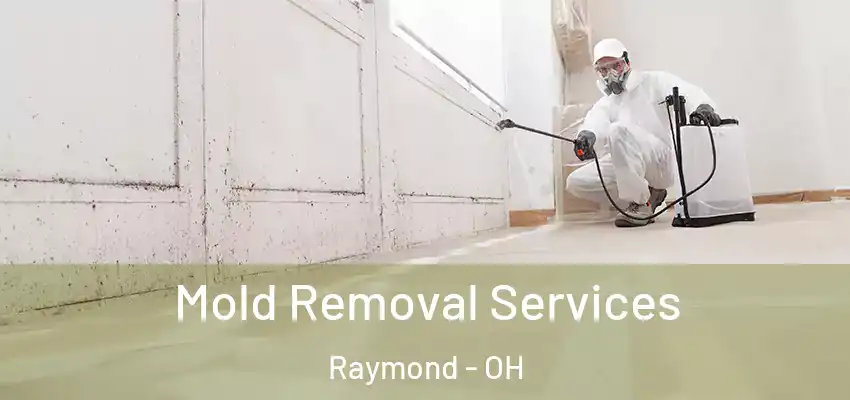  Mold Removal Services Raymond - OH