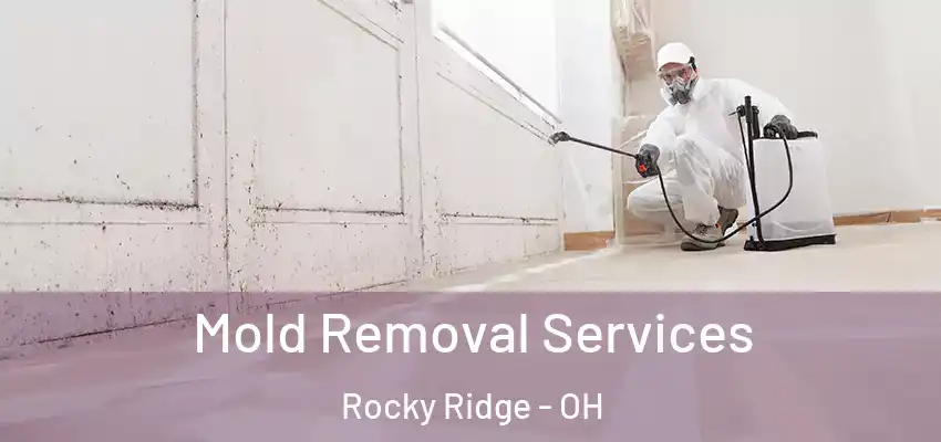  Mold Removal Services Rocky Ridge - OH