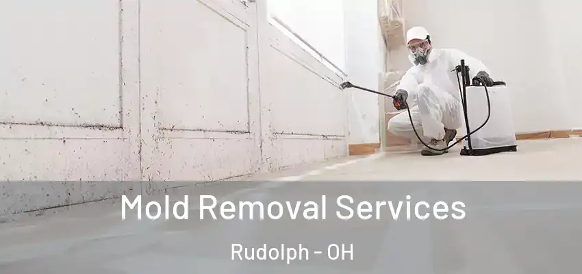  Mold Removal Services Rudolph - OH