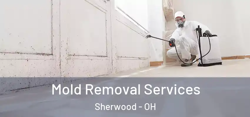  Mold Removal Services Sherwood - OH