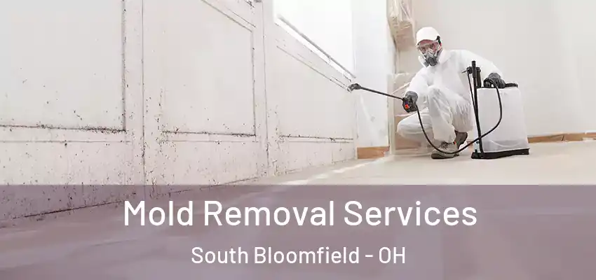  Mold Removal Services South Bloomfield - OH
