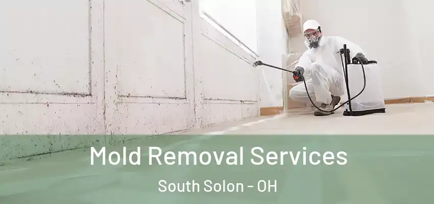  Mold Removal Services South Solon - OH