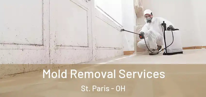  Mold Removal Services St. Paris - OH