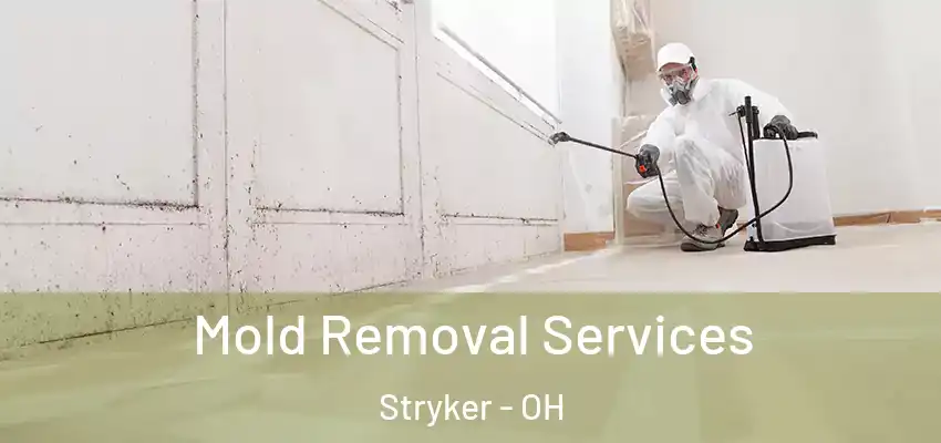  Mold Removal Services Stryker - OH