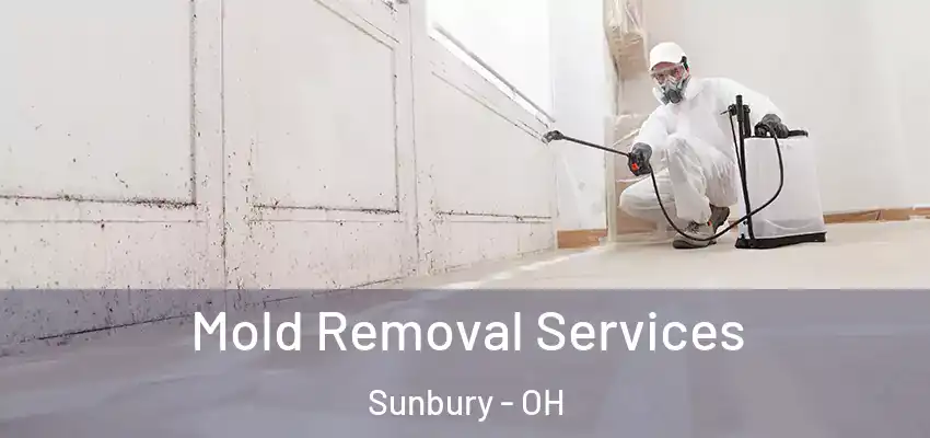  Mold Removal Services Sunbury - OH