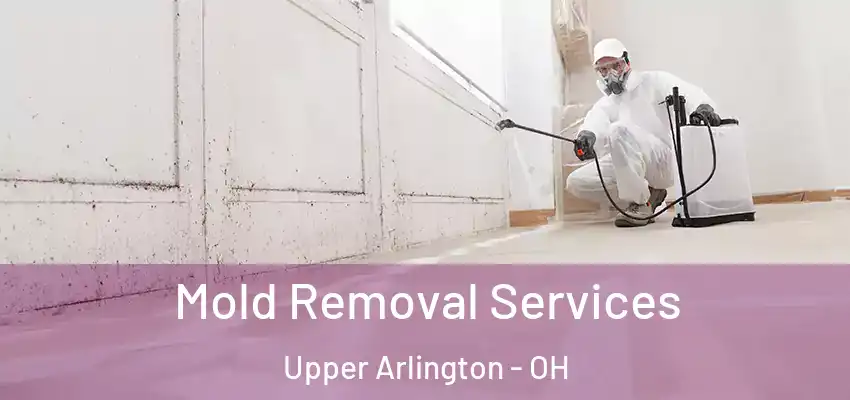  Mold Removal Services Upper Arlington - OH