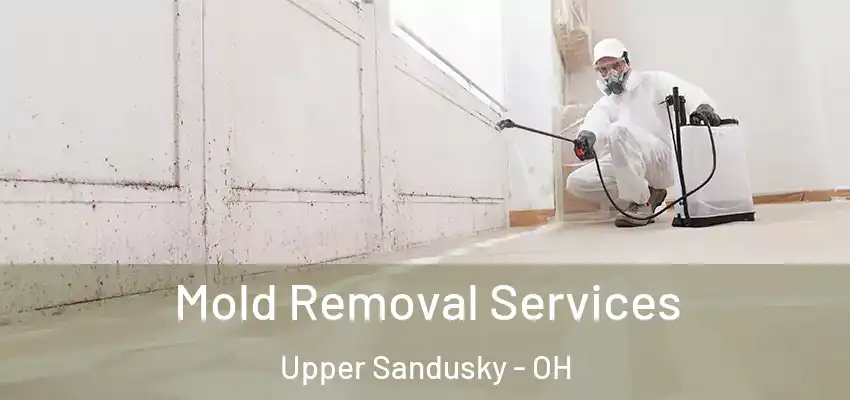  Mold Removal Services Upper Sandusky - OH