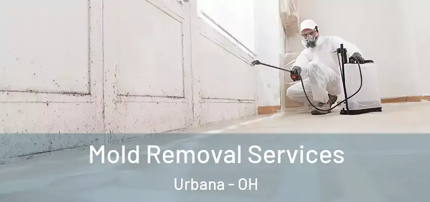  Mold Removal Services Urbana - OH