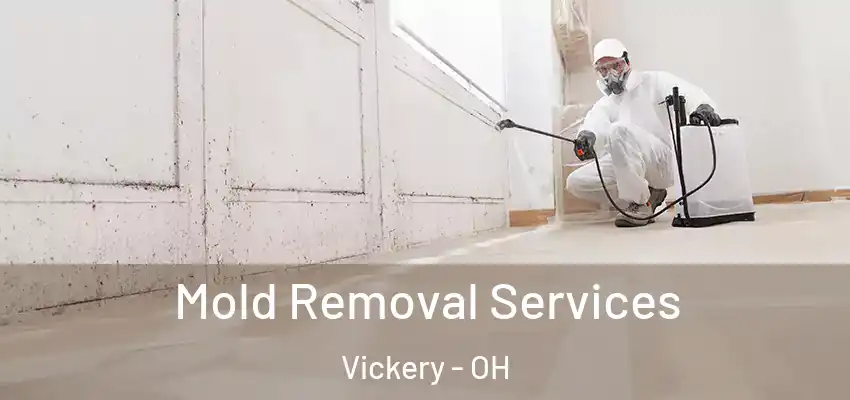  Mold Removal Services Vickery - OH