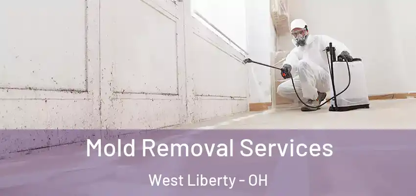  Mold Removal Services West Liberty - OH