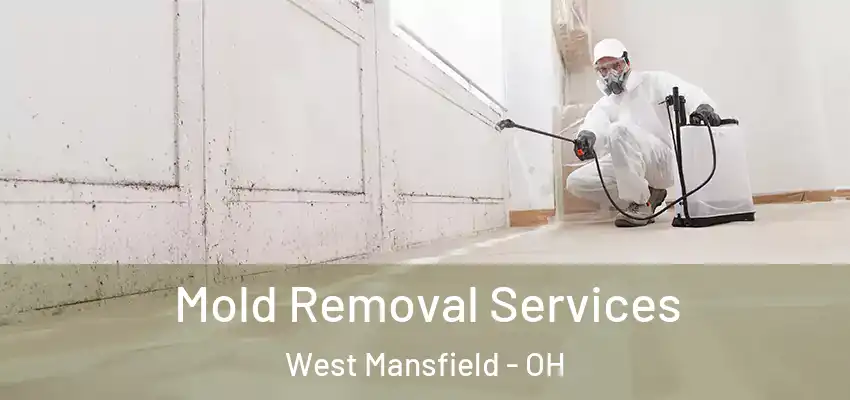  Mold Removal Services West Mansfield - OH