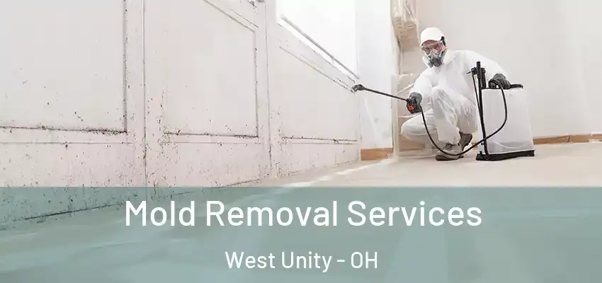  Mold Removal Services West Unity - OH