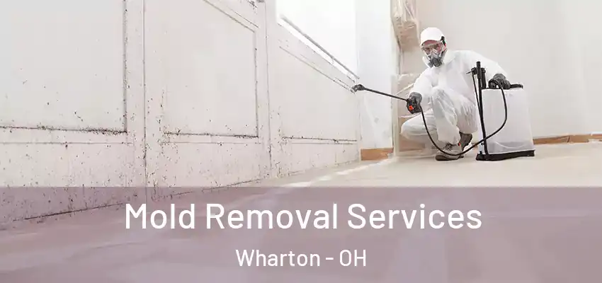  Mold Removal Services Wharton - OH