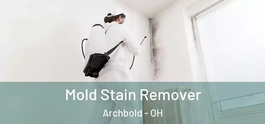  Mold Stain Remover Archbold - OH
