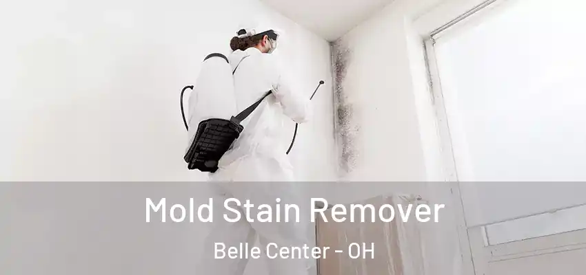  Mold Stain Remover Belle Center - OH