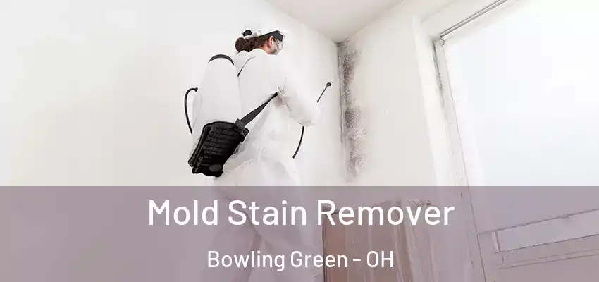  Mold Stain Remover Bowling Green - OH