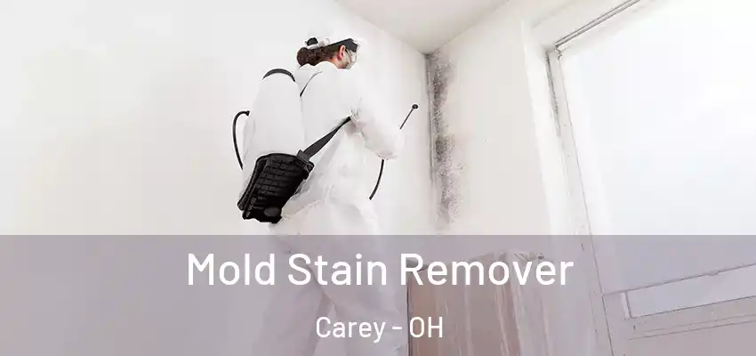  Mold Stain Remover Carey - OH