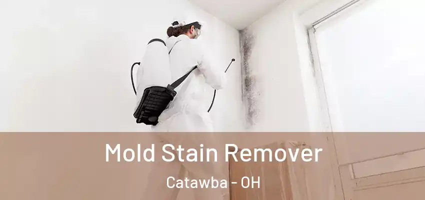  Mold Stain Remover Catawba - OH
