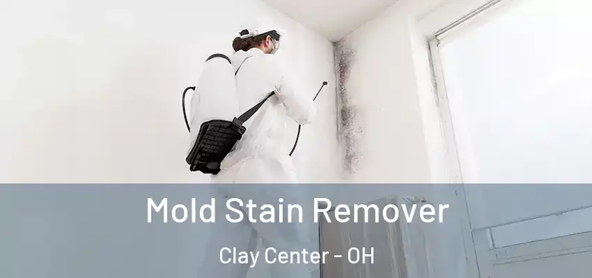  Mold Stain Remover Clay Center - OH