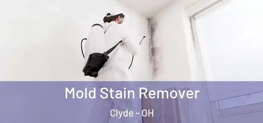 Mold Stain Remover Clyde - OH