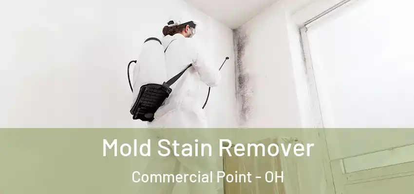  Mold Stain Remover Commercial Point - OH