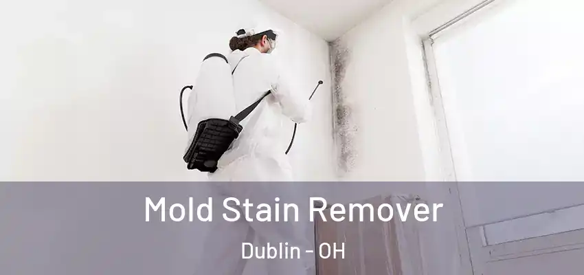  Mold Stain Remover Dublin - OH