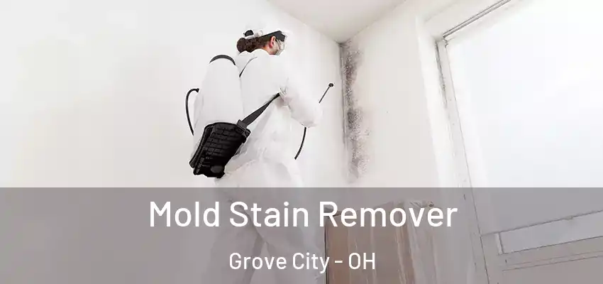  Mold Stain Remover Grove City - OH