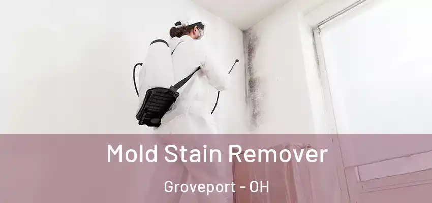  Mold Stain Remover Groveport - OH
