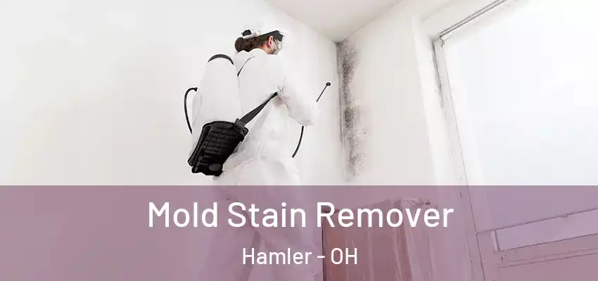  Mold Stain Remover Hamler - OH