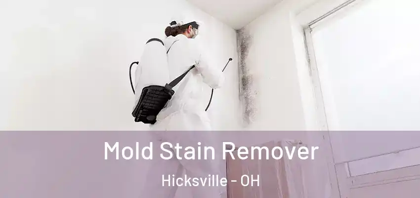  Mold Stain Remover Hicksville - OH