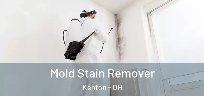  Mold Stain Remover Kenton - OH