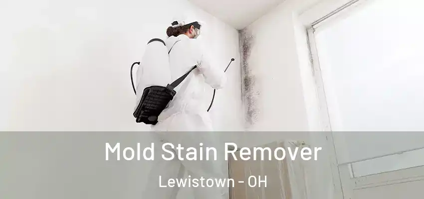  Mold Stain Remover Lewistown - OH