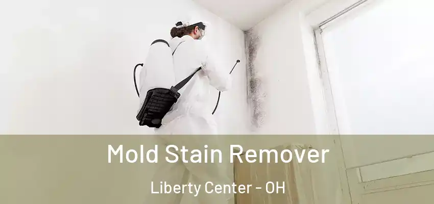  Mold Stain Remover Liberty Center - OH