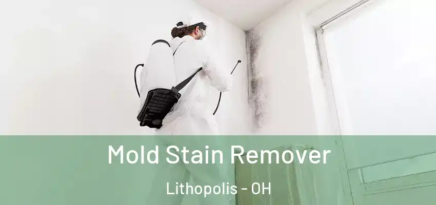  Mold Stain Remover Lithopolis - OH