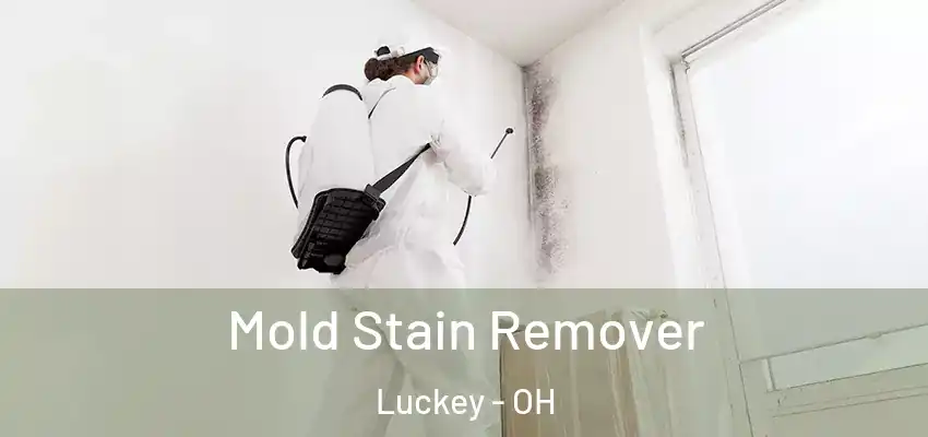  Mold Stain Remover Luckey - OH