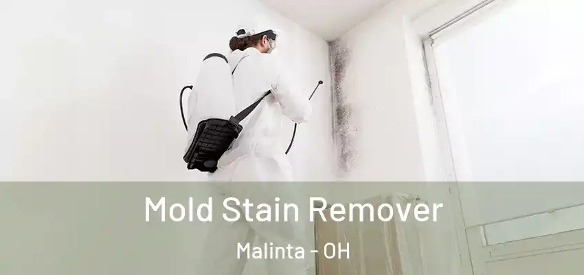  Mold Stain Remover Malinta - OH