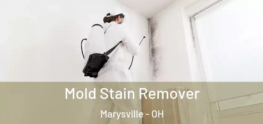  Mold Stain Remover Marysville - OH