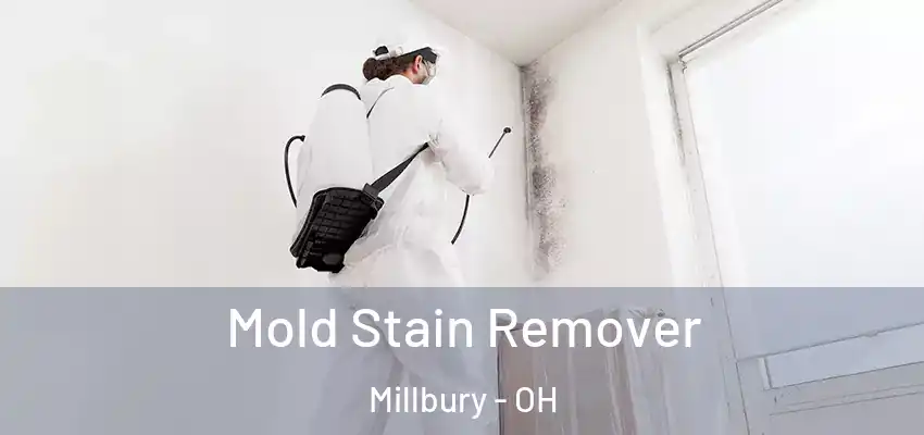  Mold Stain Remover Millbury - OH